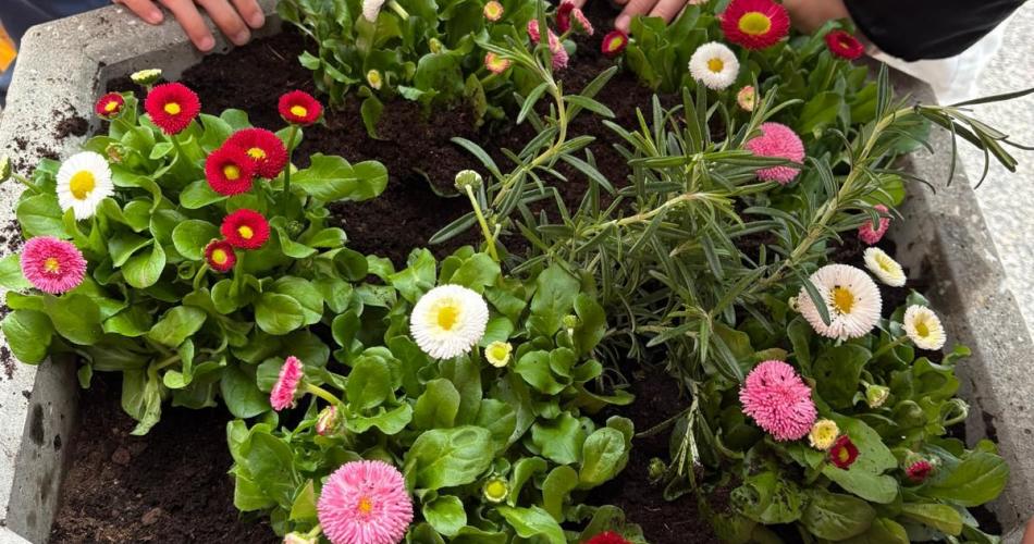 fertig bepflanzter Blumentrog mit den fleißigen Händen